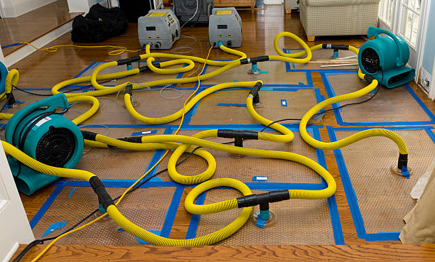 Professional Structural Drying And Dehumidification technician working in Stevensburg, VA
